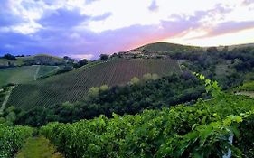 Casa Vacanze Agricola Lanciani